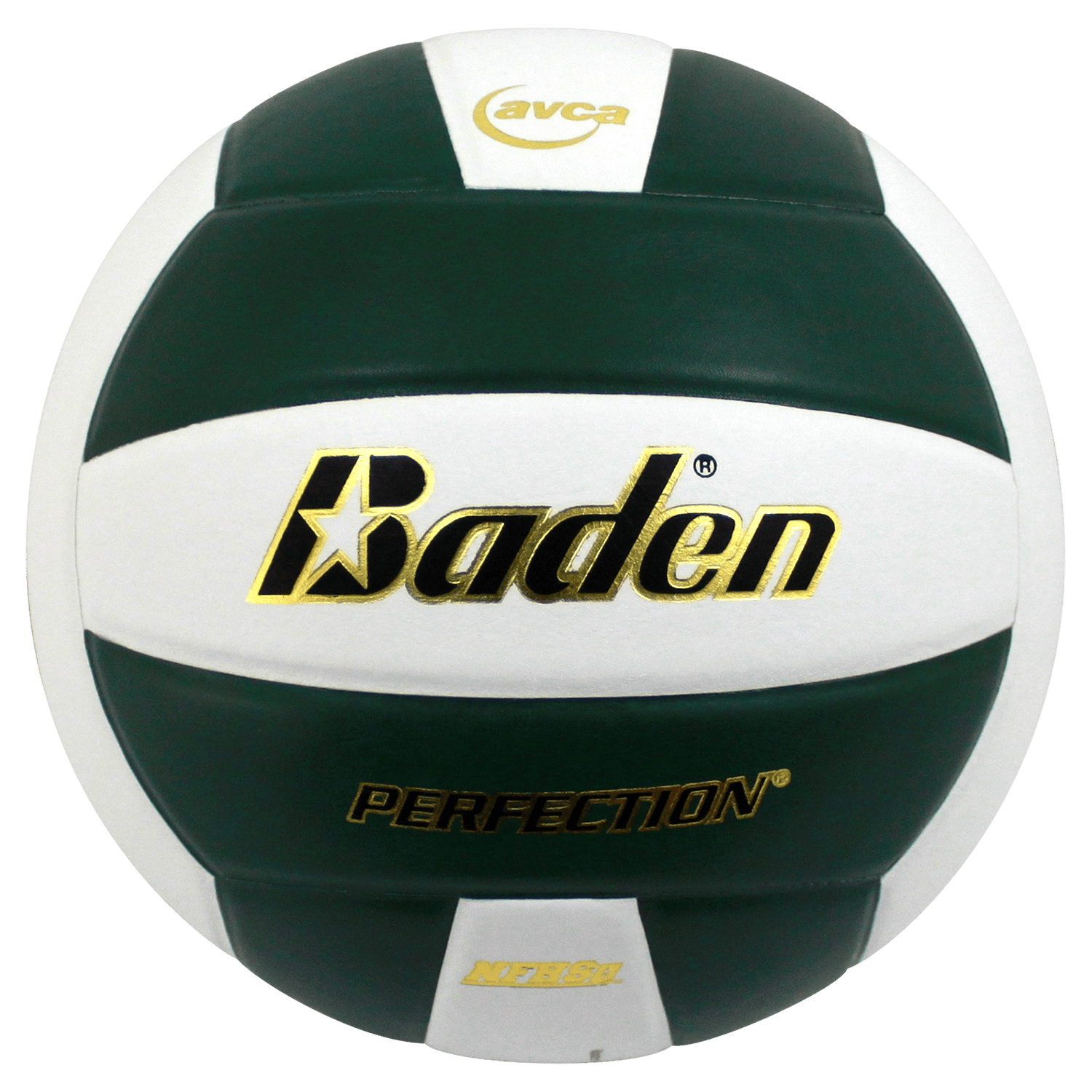 Perfection Leather Volleyball NFHS Stamped – Baden Sports