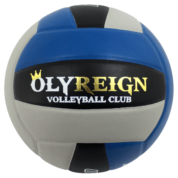 Custom Perfection Volleyball Baden Sports
