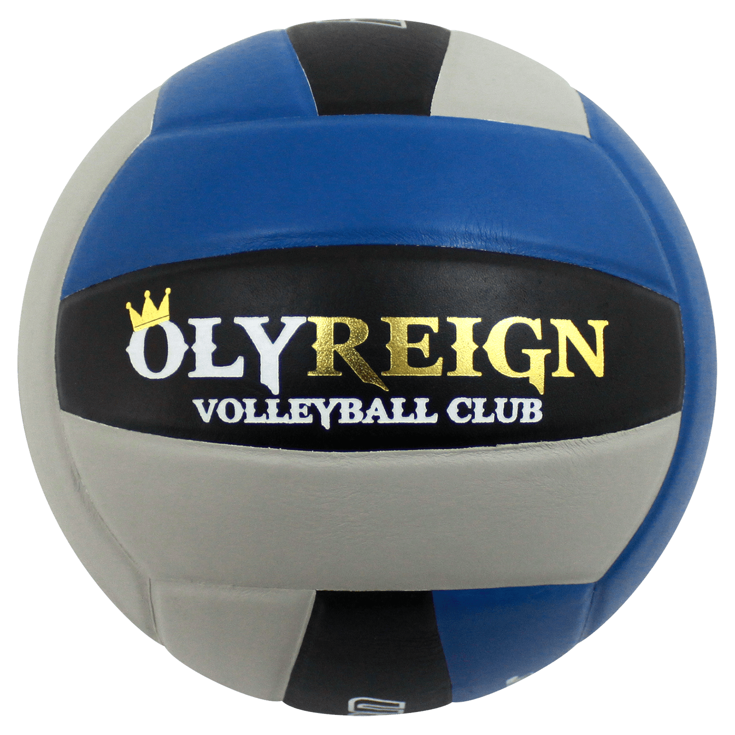 Custom Volleyball