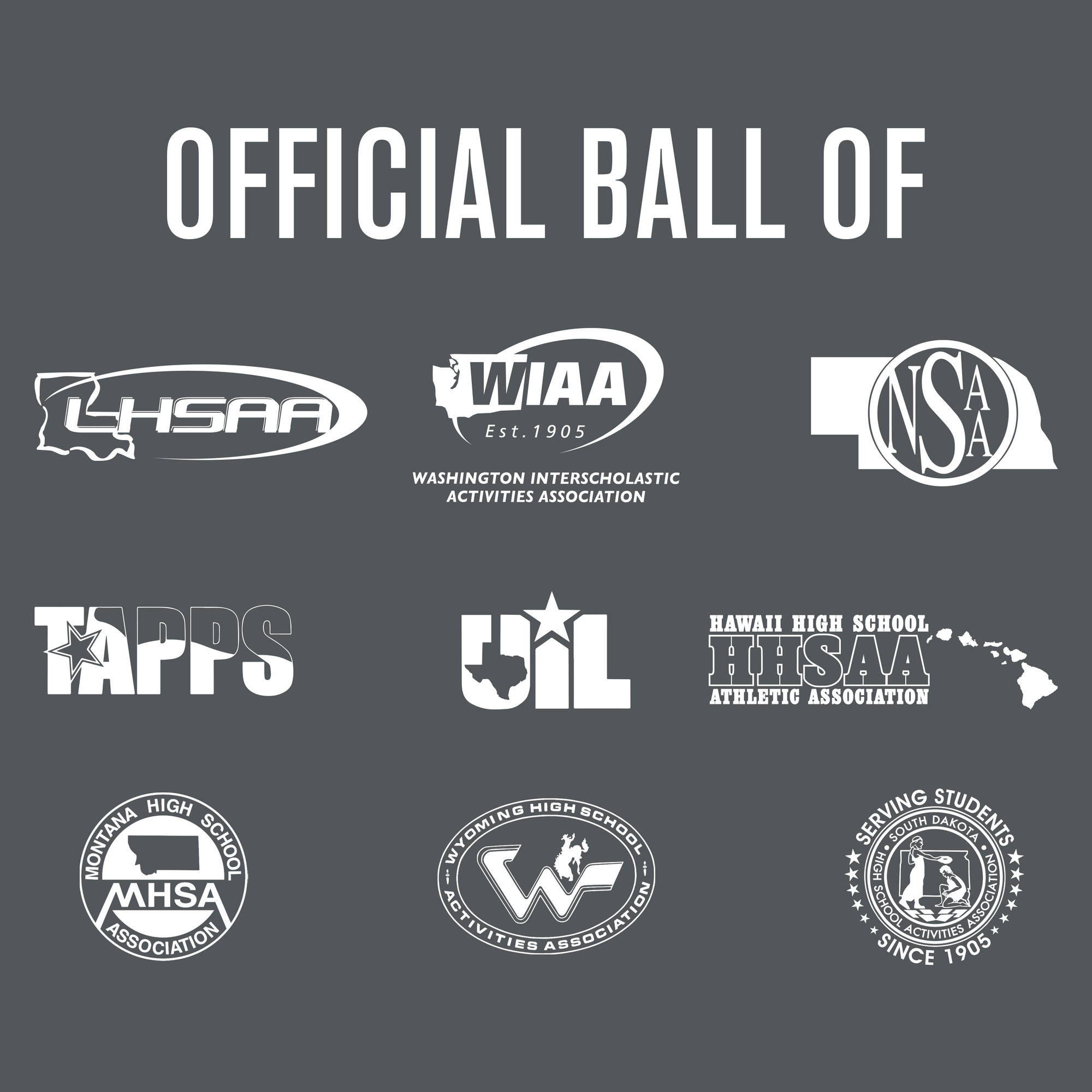 Elite Pro Official Game Basketball Baden Sports