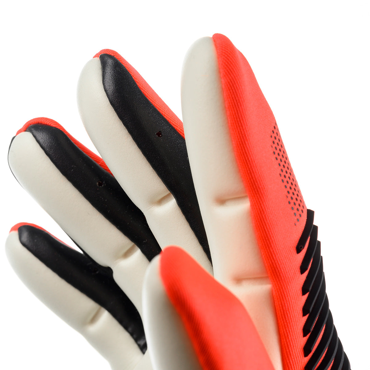 FM Absolutgrip HN FIT 2026