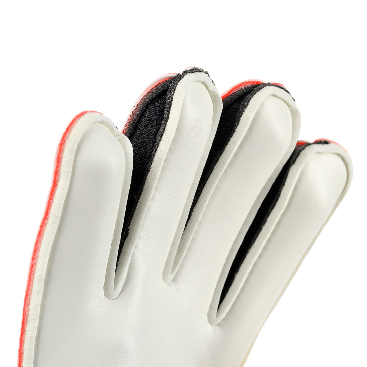 FM Starter Soft 2026