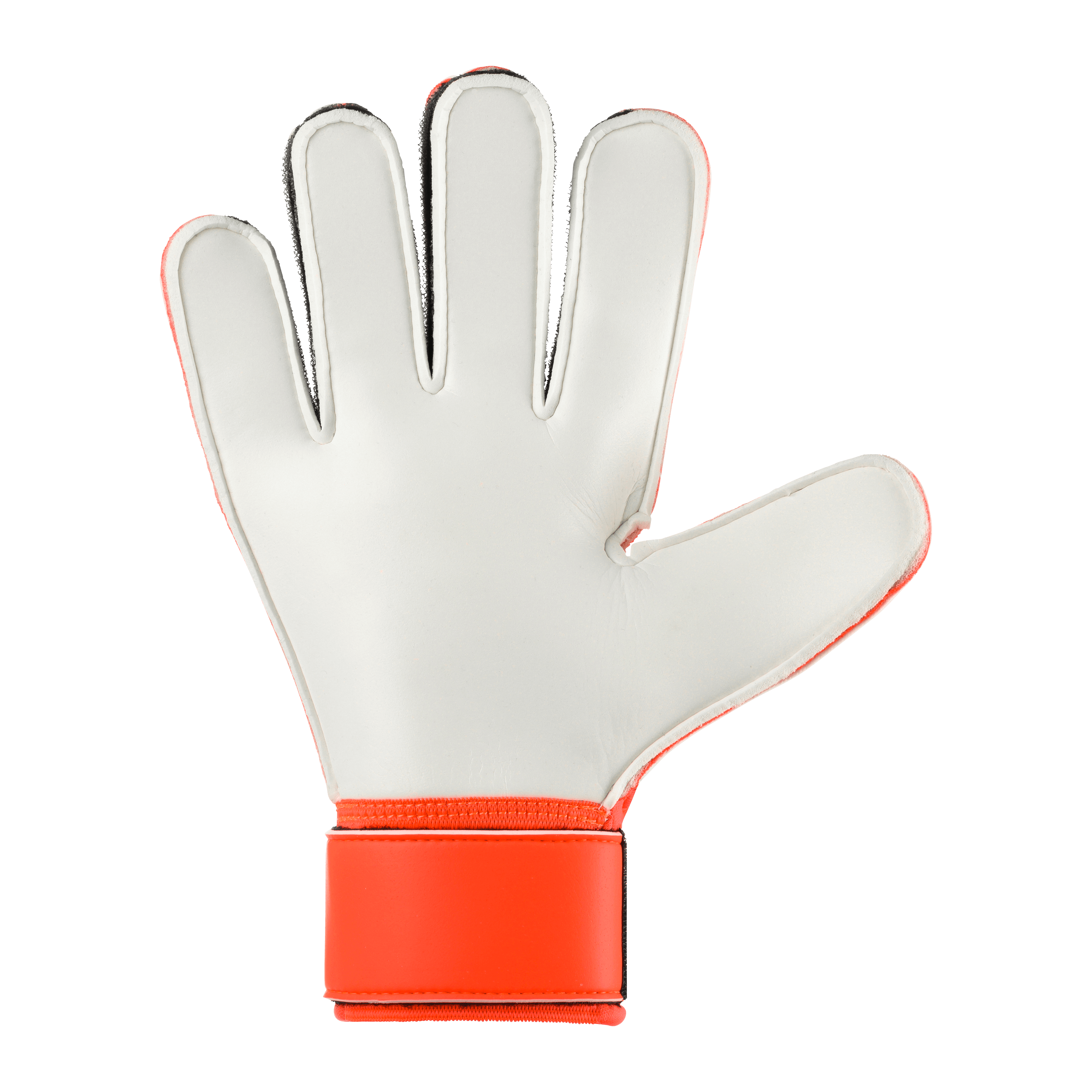 FM Starter Soft 2026