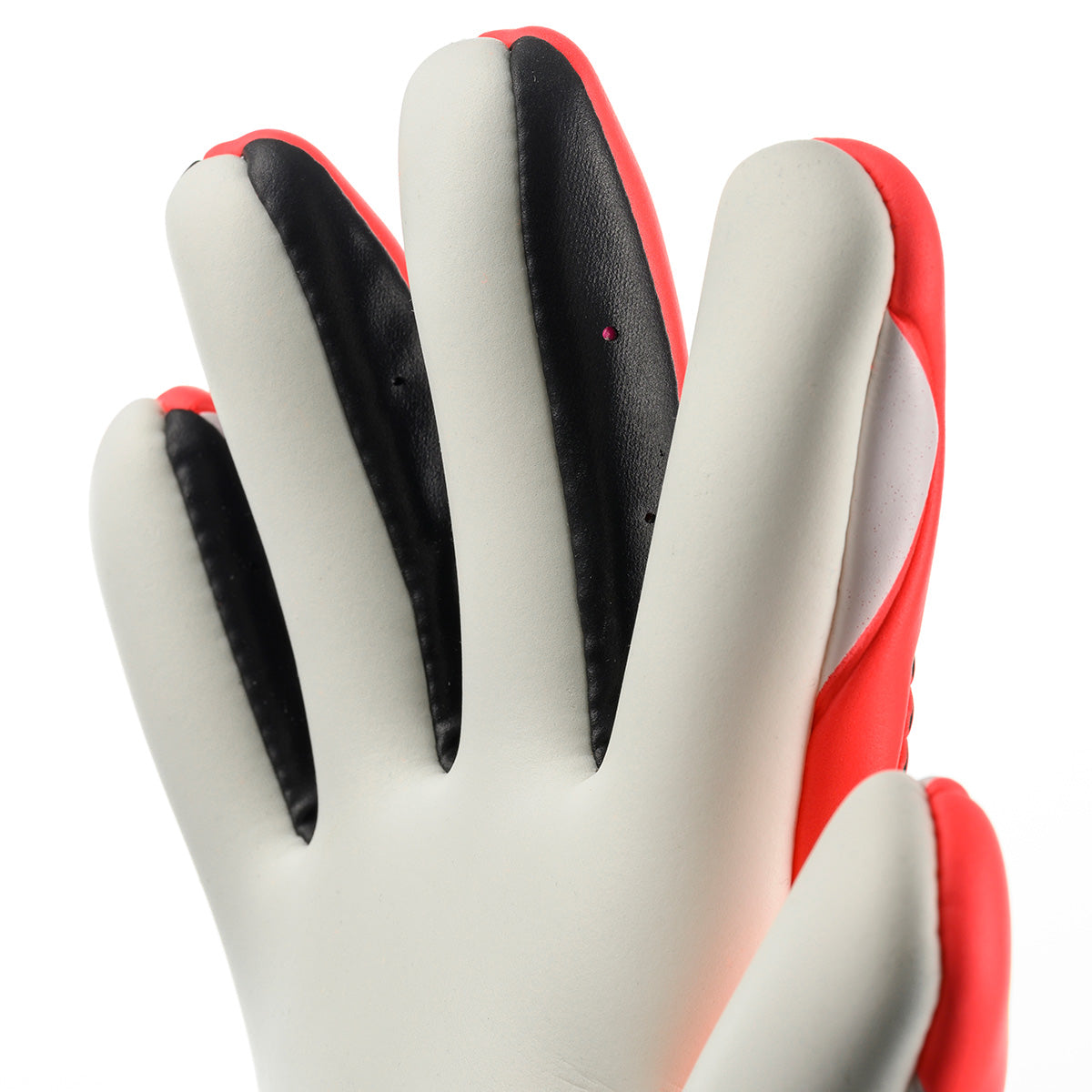 FM Supersoft HN 2026