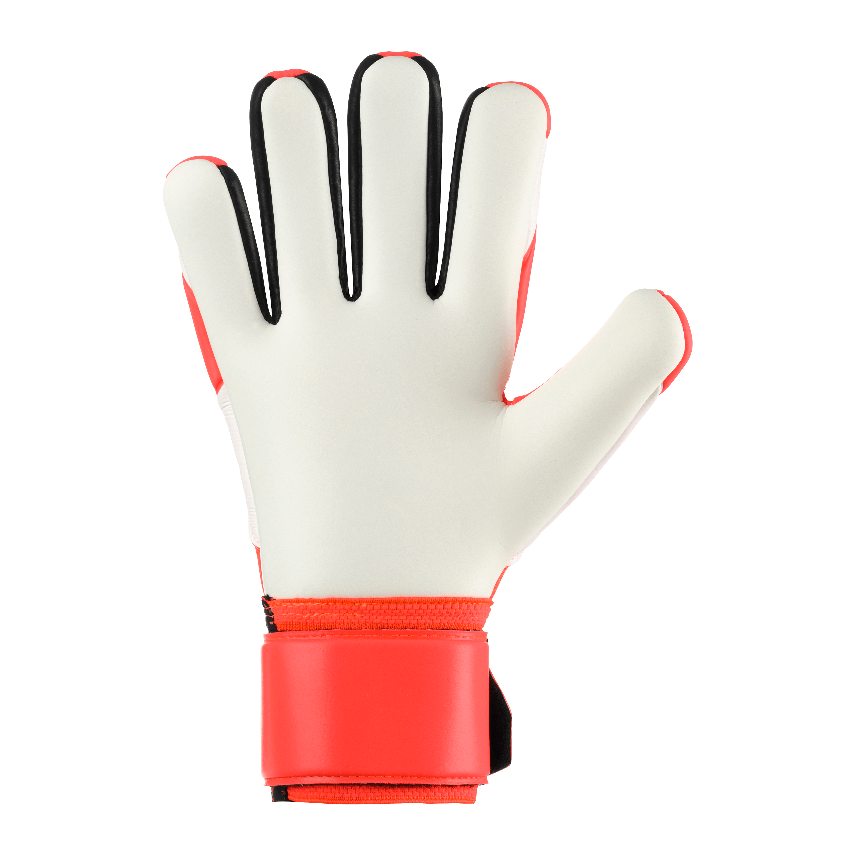 FM Supersoft HN 2026