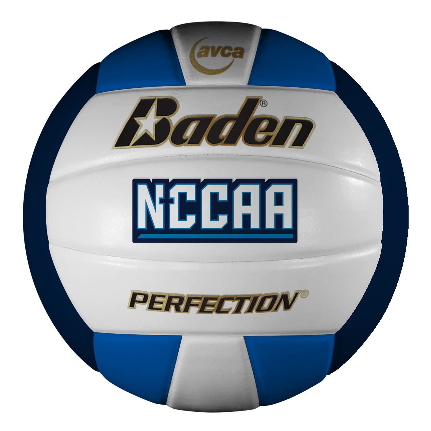 Game Volleyballs – Baden Sports