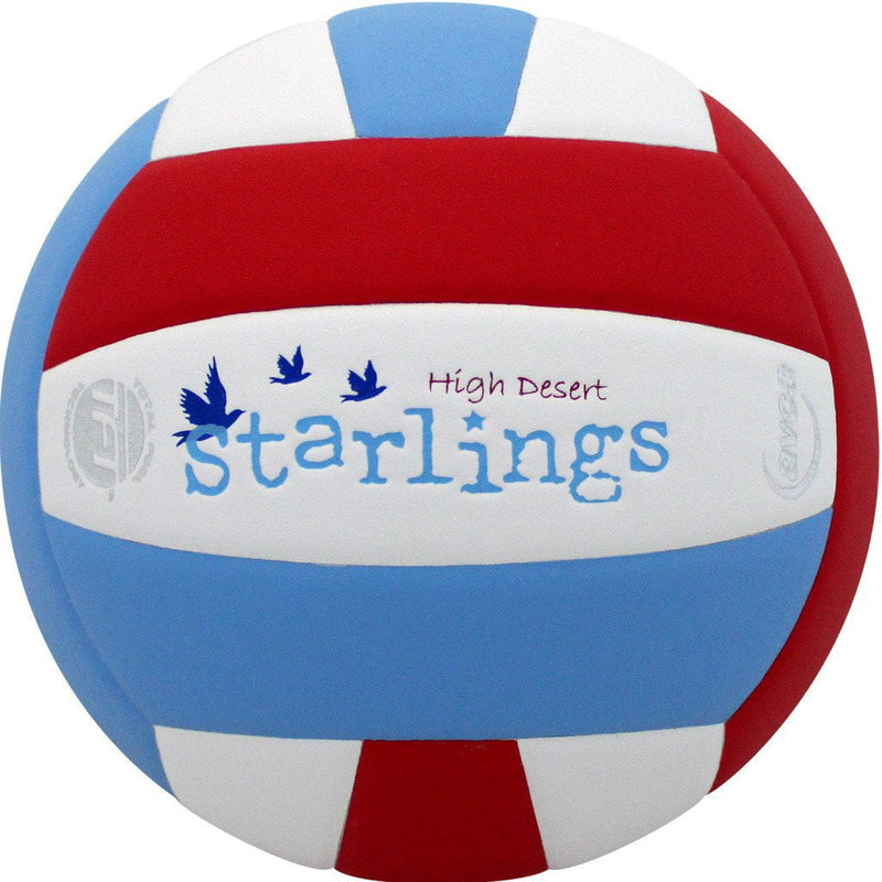 Custom Lexum Volleyball Baden Sports