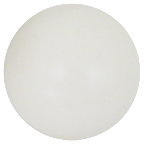 Champions Series 60MM White Pallino Baden Sports