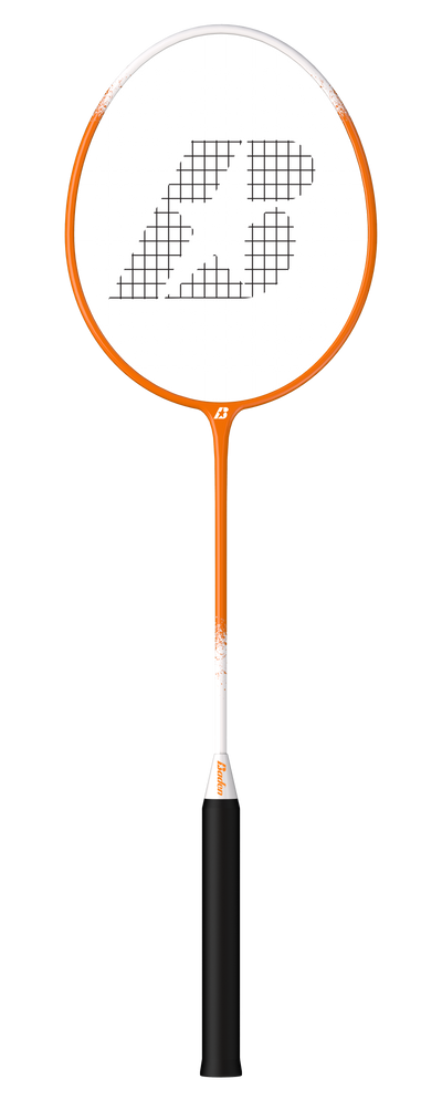 Champions Volleyball & Badminton Racket