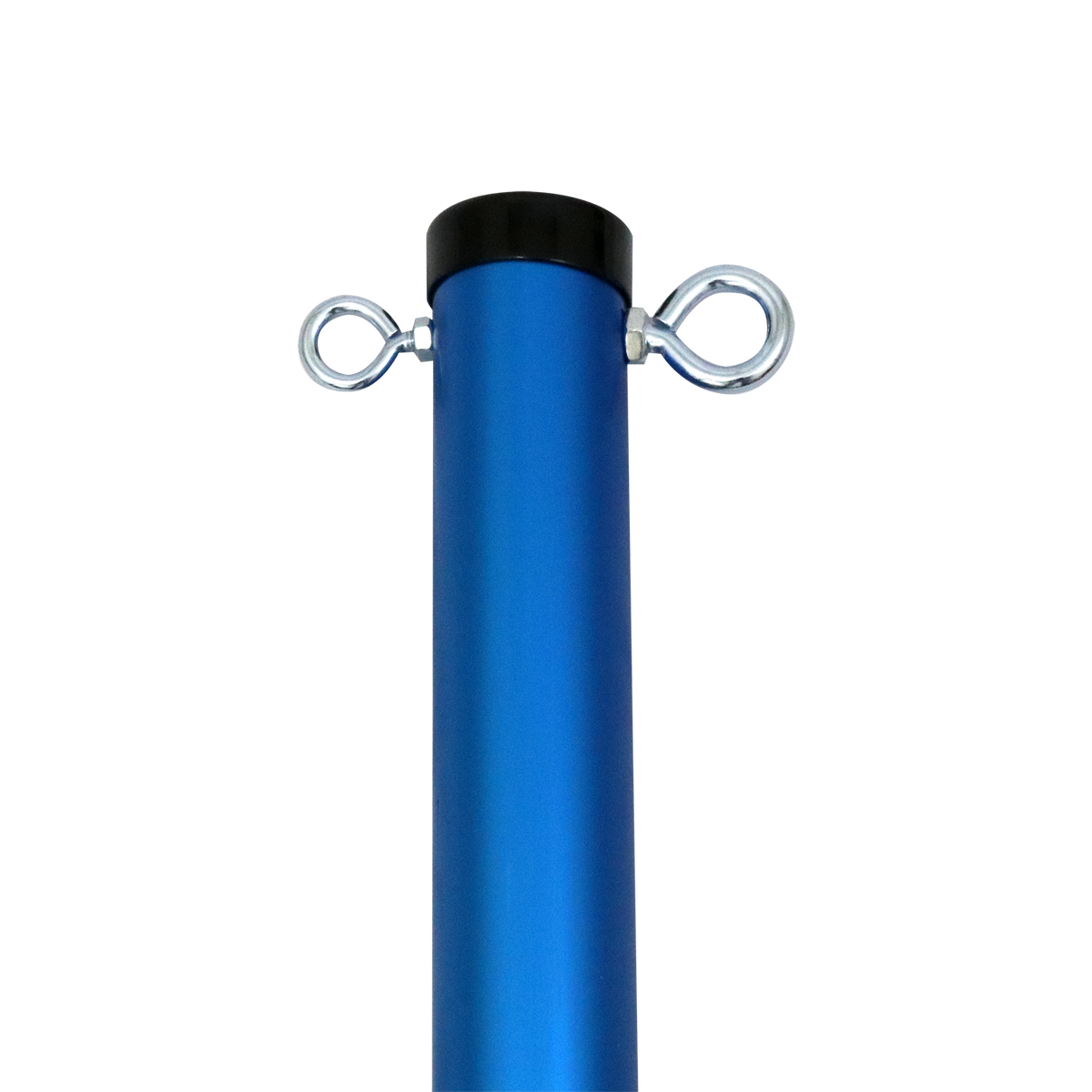 Pro Volleyball Set Baden Sports