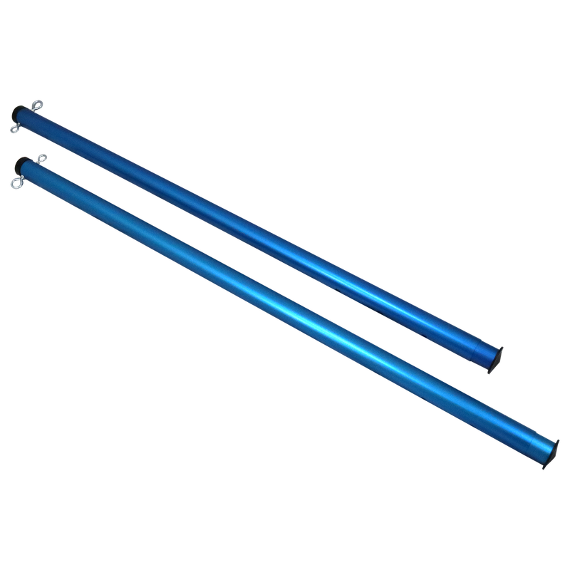 Pro Volleyball Set Baden Sports