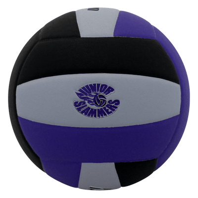 Custom Lexum Volleyball