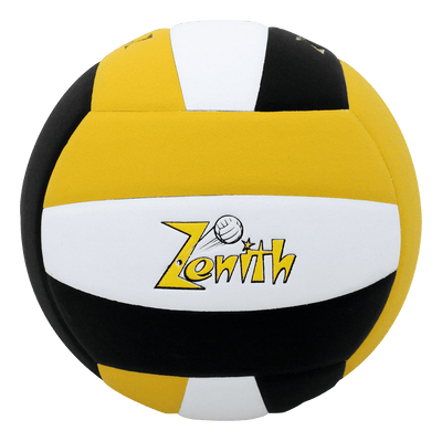 Custom Lexum Volleyball