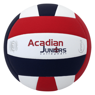 Custom Lexum Volleyball