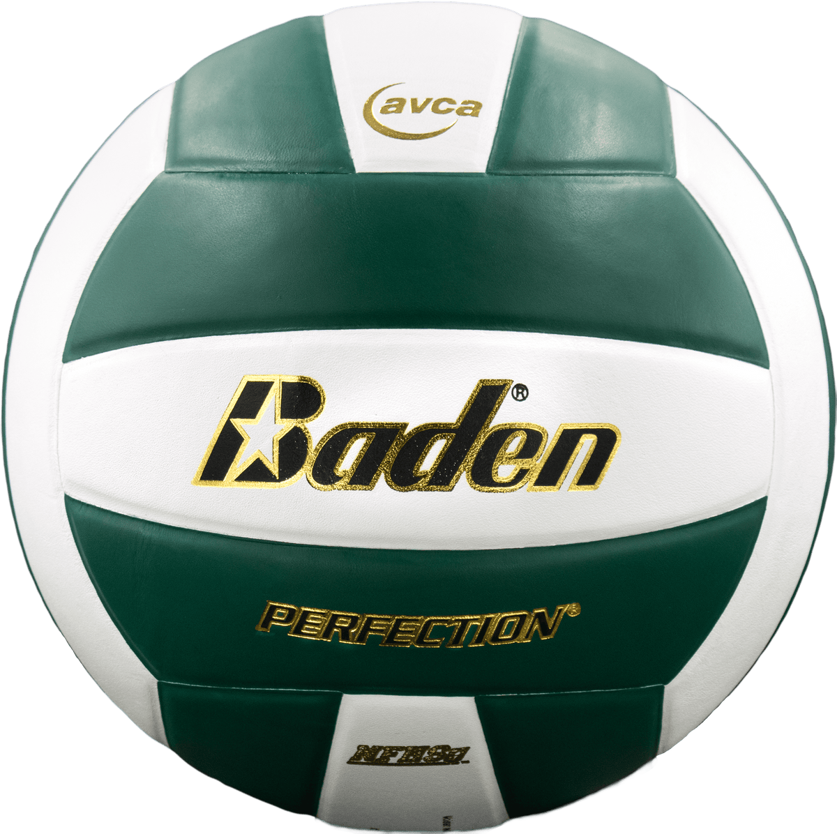 Perfection Leather Volleyball Baden Sports