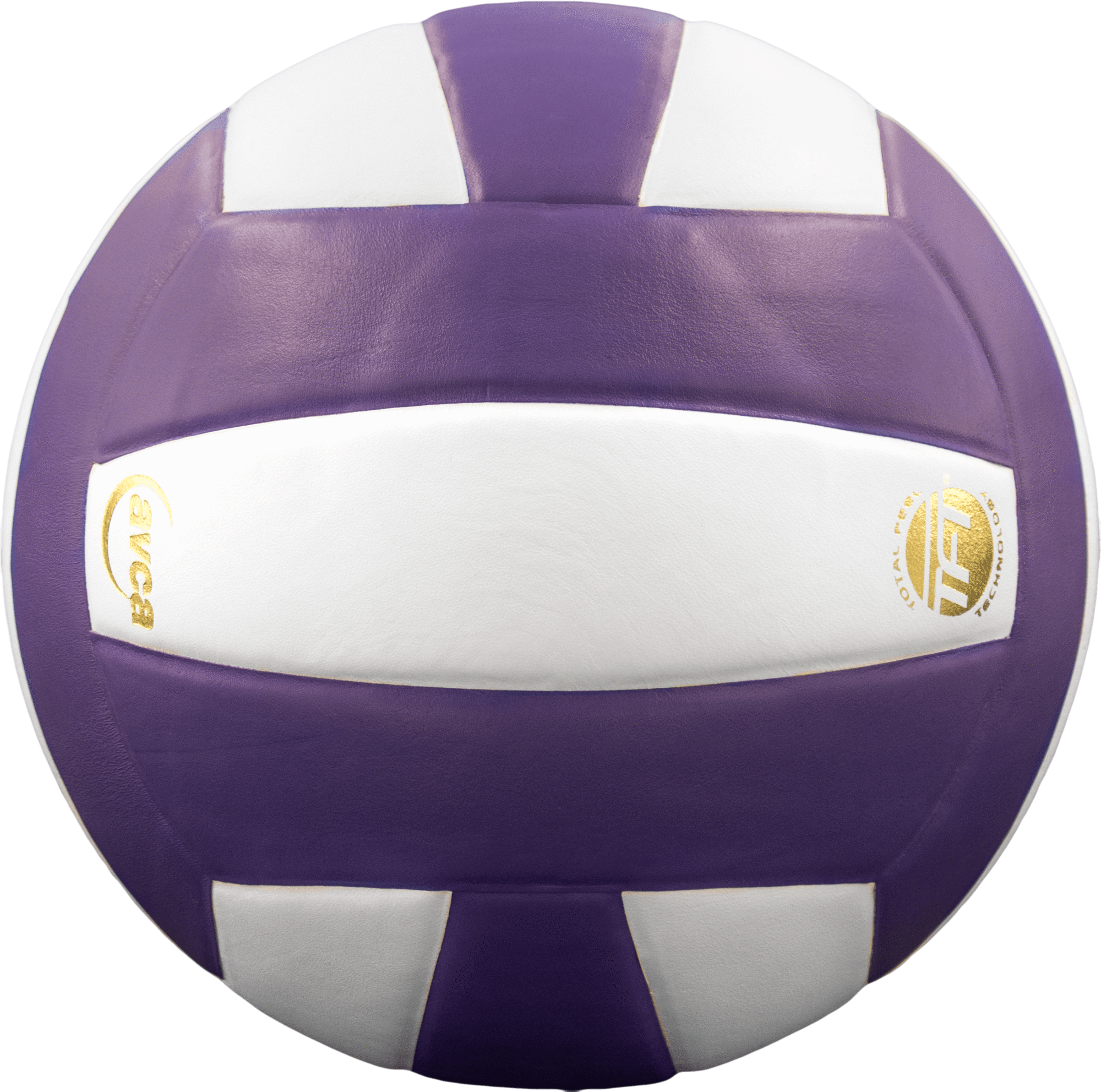 Perfection Sports Baden - Leather Volleyball