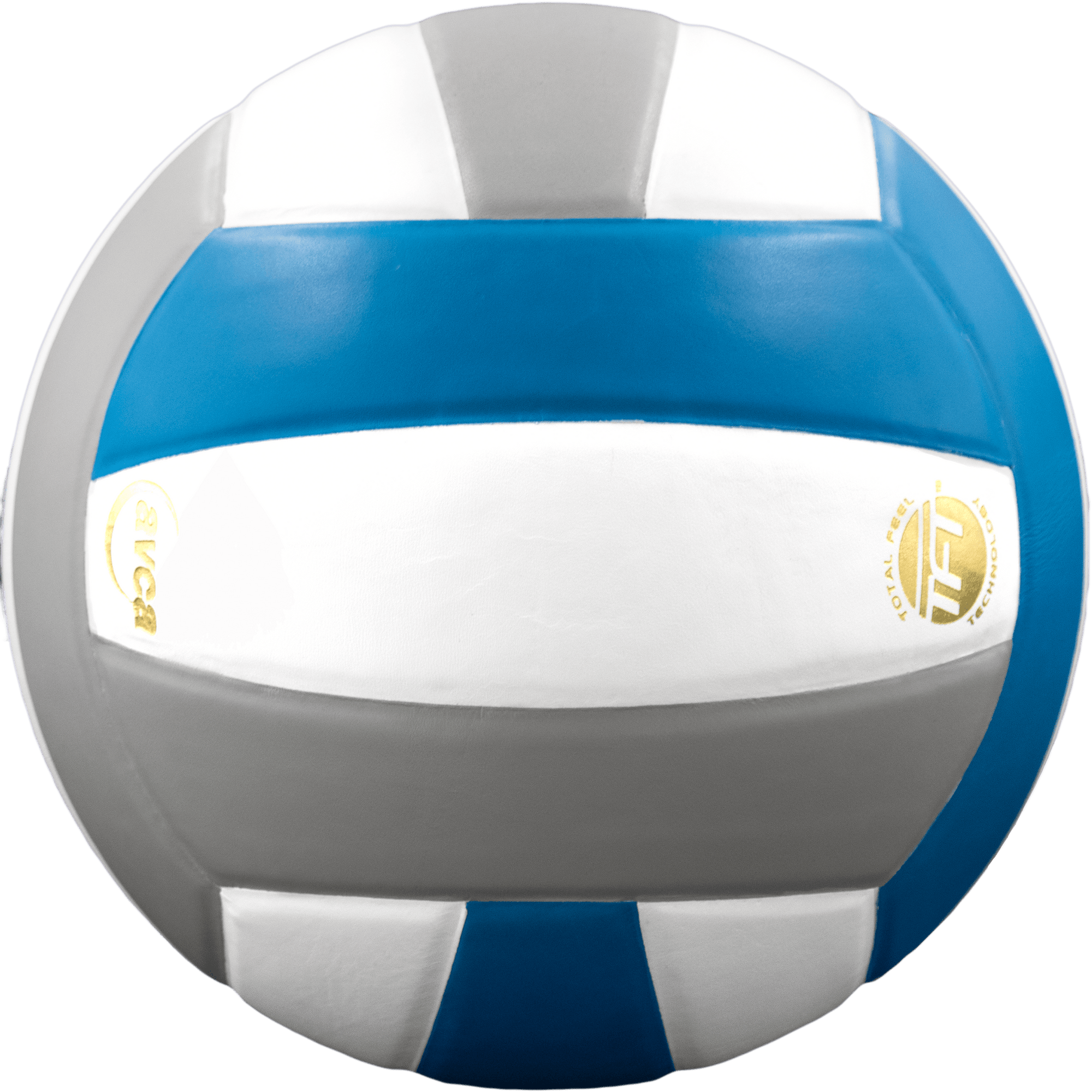 Baden Leather Perfection Sports Volleyball -